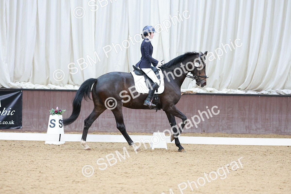 SBM_001145 - Class 6 - Novice 4