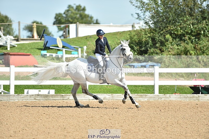 230723A-155228-13207 - Cls 16, 1 Star Bronze 1.15m