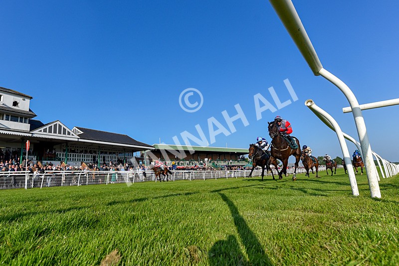 310524-Race 2-Dandy Fitz-7466 - Race 2