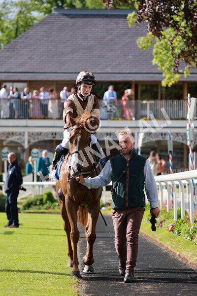 yr21052022r7-43 - Race 7: 5:15pm Reg Bond Always and Forever Stakes