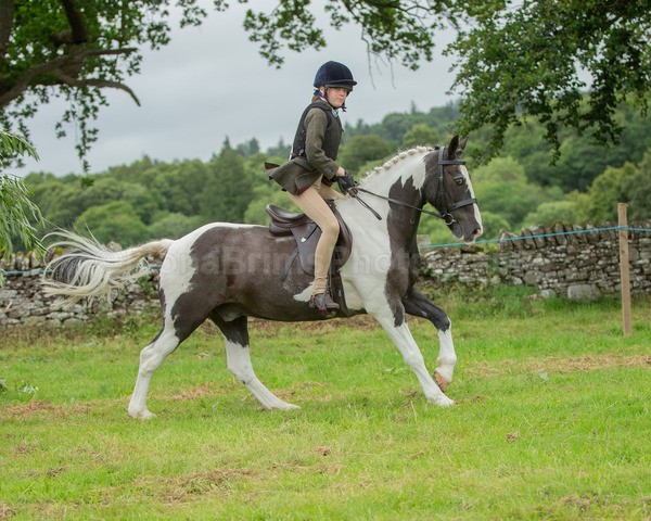 Dunblane show-134 - Dunblane and Doune Show Ring 1