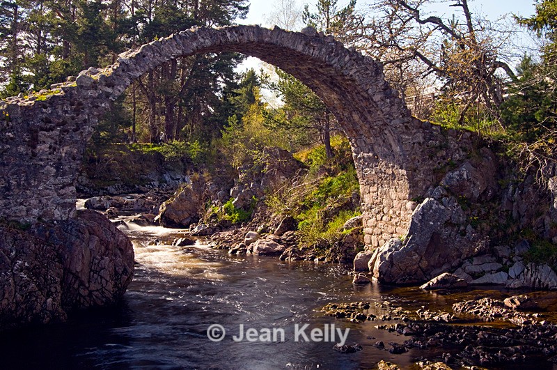 Old Packhorse Bridge, Carrbridge - 4626 - Scotland