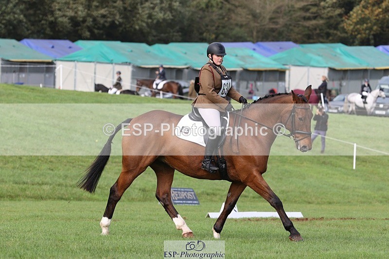 231019-142546-03975 - 634-PEMBROKE.MASTER.PIECE-Joanna.Dunn-DR