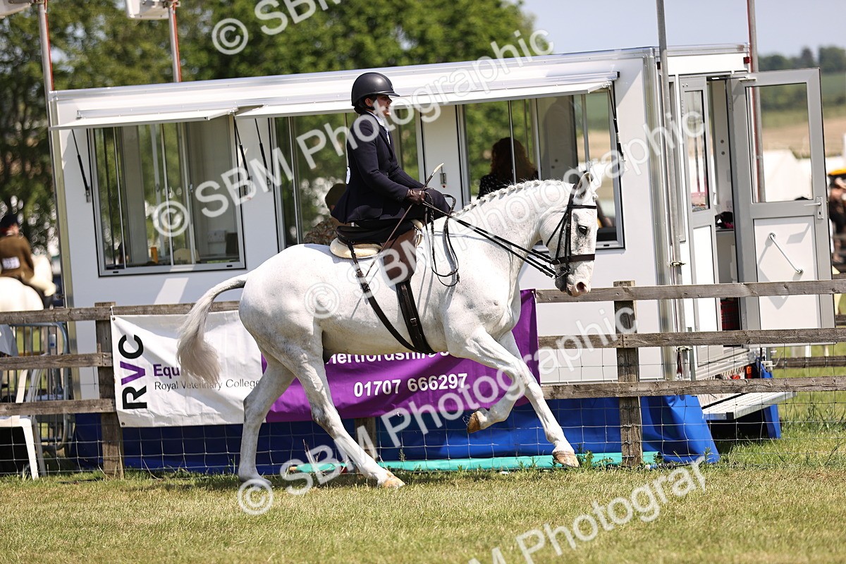 SBM_15051 - Class 79-80 - LIHS BSHA Rising Star Ridden Hunter