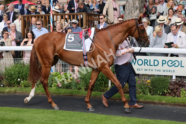 yr18082021r4-3 - Race 4 3.35pm Juddmonte International Stakes (British Champion Series race)