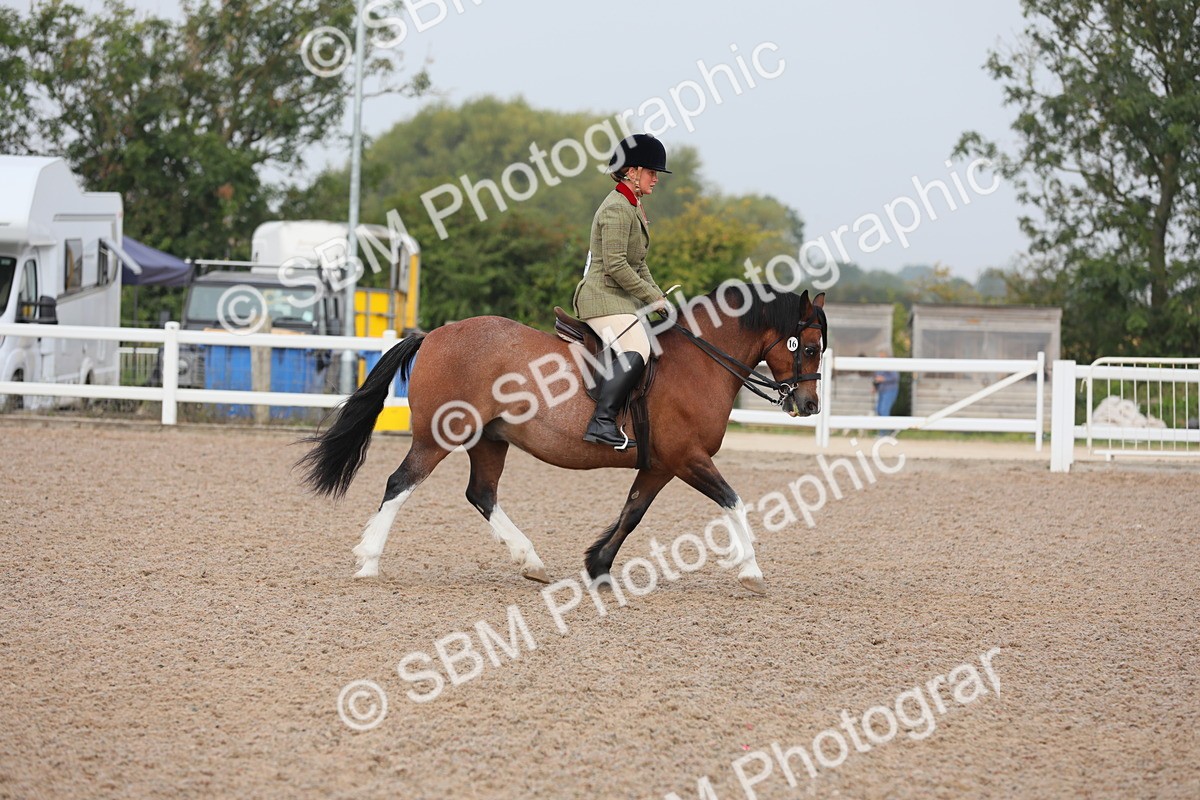 SBM_09978 - Class 302 Ridden M&M -Large Breeds