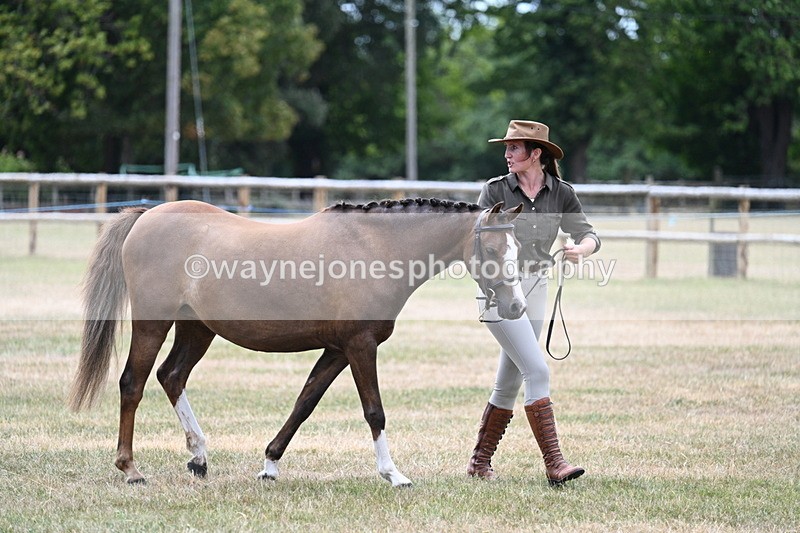 WJ7_2125 - Prettiest Mare Champs