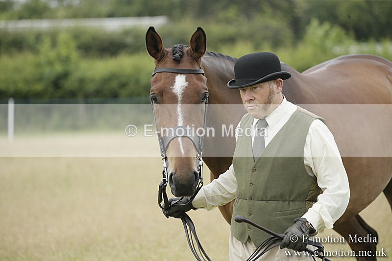 B230619-0232 - Bourne Valley Riding Club Summer Show 23/06/19