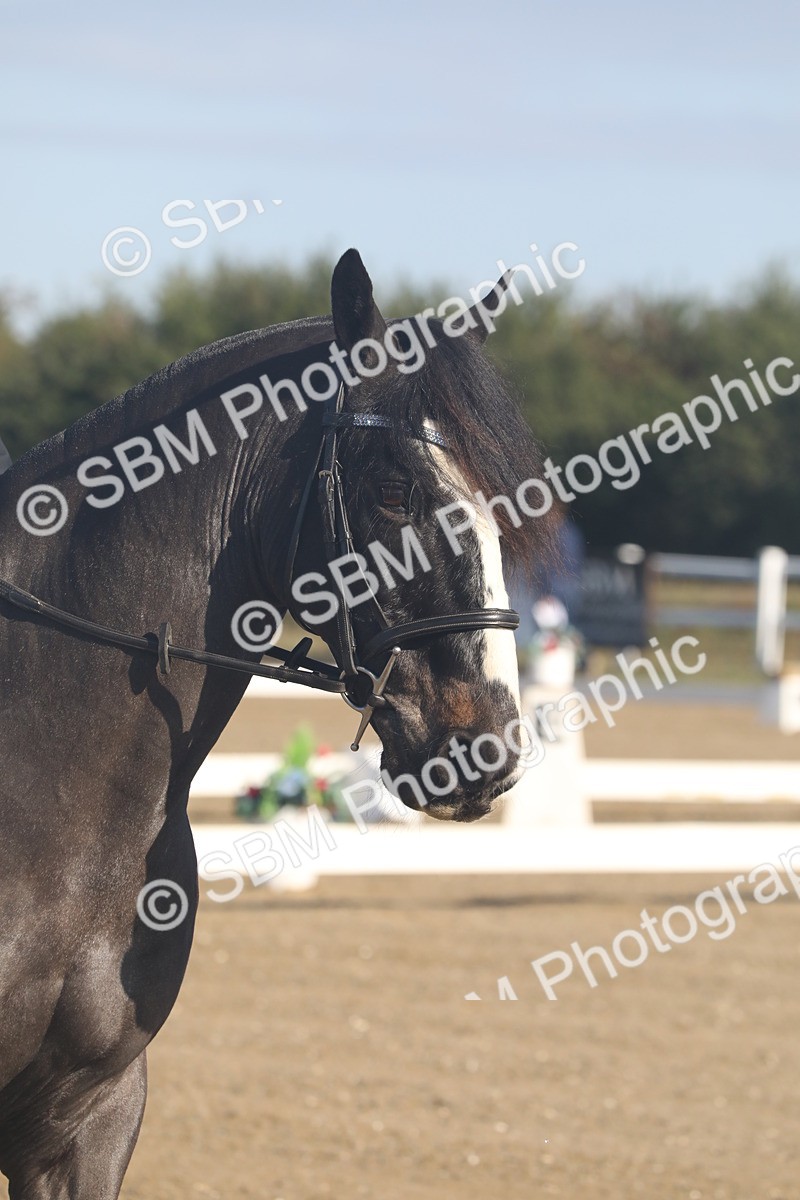 SBM_000397 - Class 3 - Intro 4 Champs