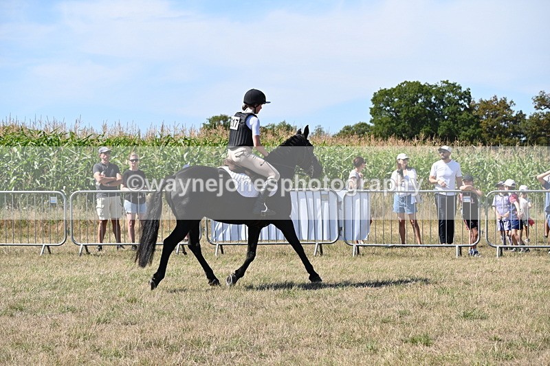 WJ6_8325 - Class 37a Best Loan Pony Ridden