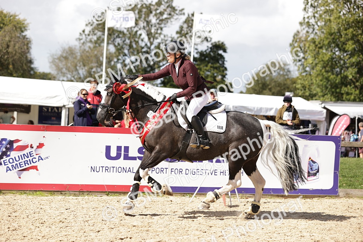 SBM_18612 - Supreme Championship