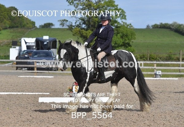 BPP_5564 - 4 L DENHOLM