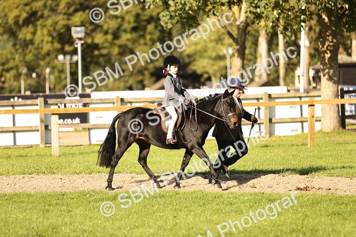 SBM_29363 - S7 - Novice & Newcomers Ridden Pony