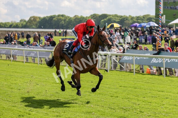 yr11052022r4-28 - Race 4 3.35pm Tattersalls Musidora Stakes