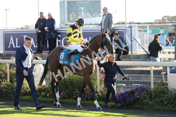 yr08102022r6-1 - Race 6 4.25pm The Watch Racing Online Free With Coral Handicap Stakes