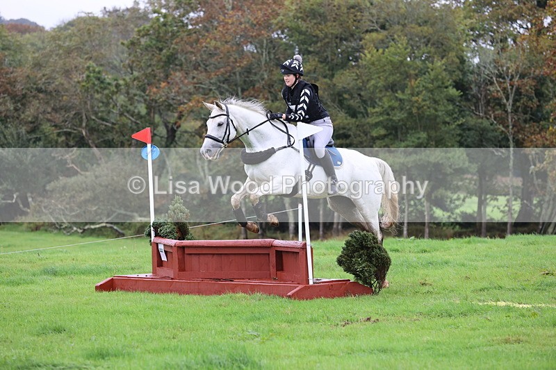 JPP_5208 - Class 2:  70cm: Zig Zag