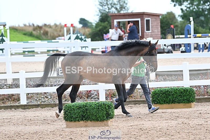 240717A-143113-02102 - Trot Up 2pm to 3pm - This folder is not in time order