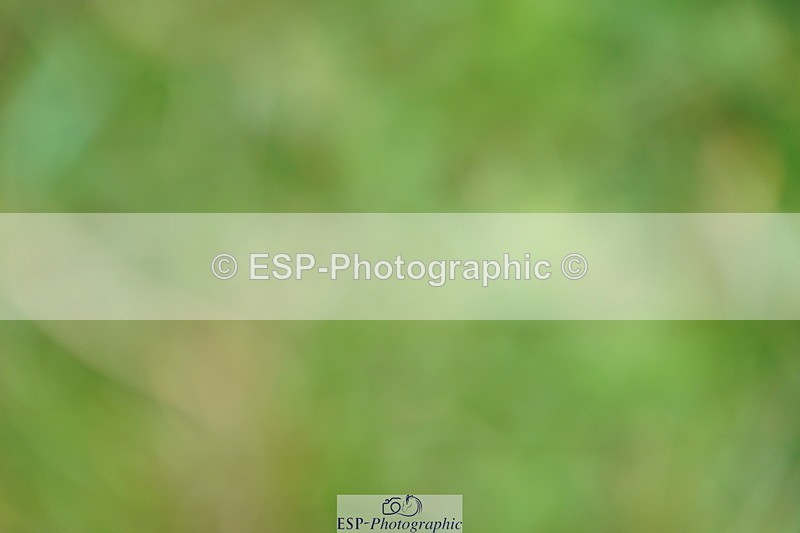 240802A-161122-05717 - Cls 19 National 1.30m Open