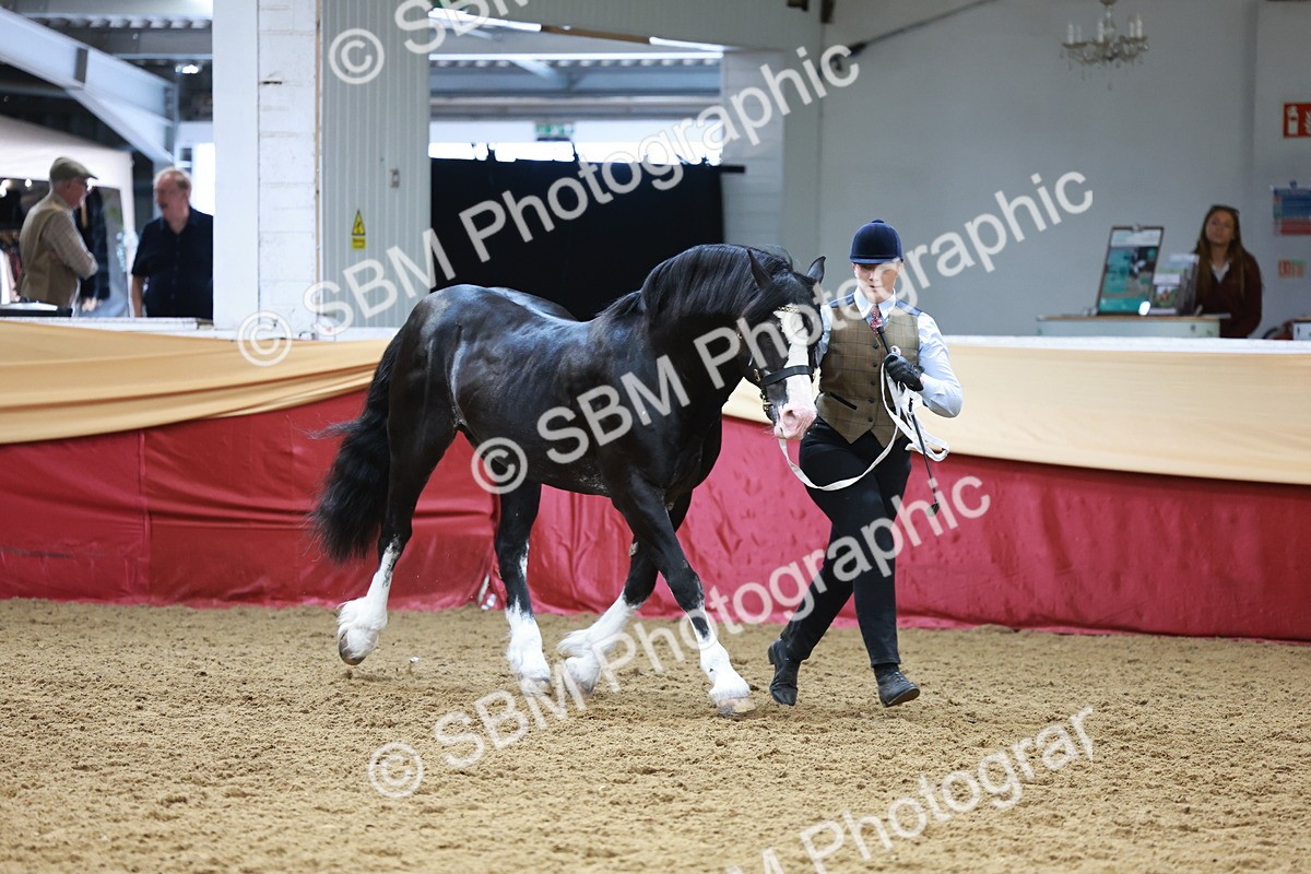 SBM_17468 - Class 951 - M&M IH Supreme Final