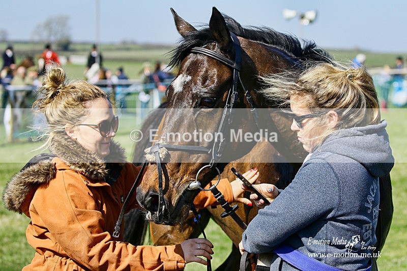 PtP 190322 256 - Wilton Hunt PtP Milborne St Andrew 19/03/22