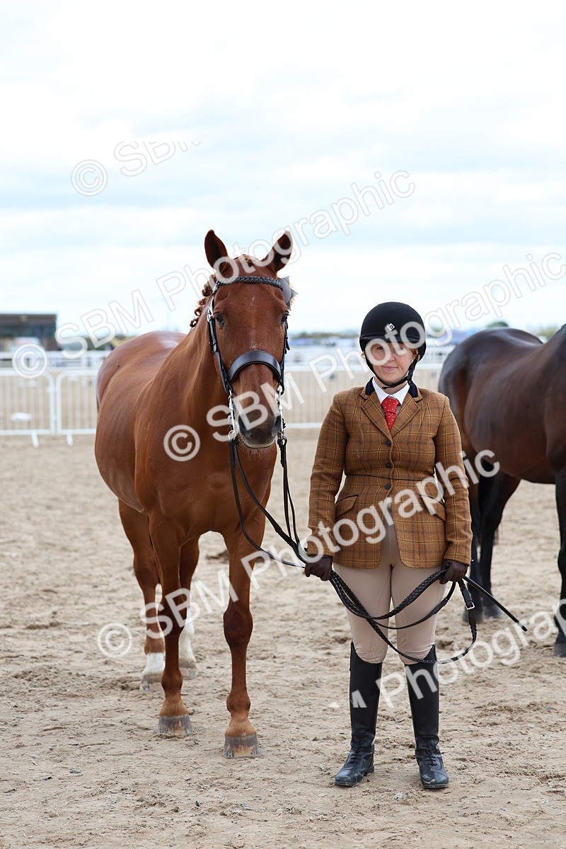 SBM_05804 - Class 28 - IH Veteran Horse