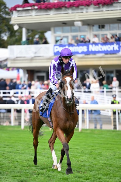 210825-123 Minnie Hauk - Race 4 3.35pm Pertemps Network Yorkshire Oaks