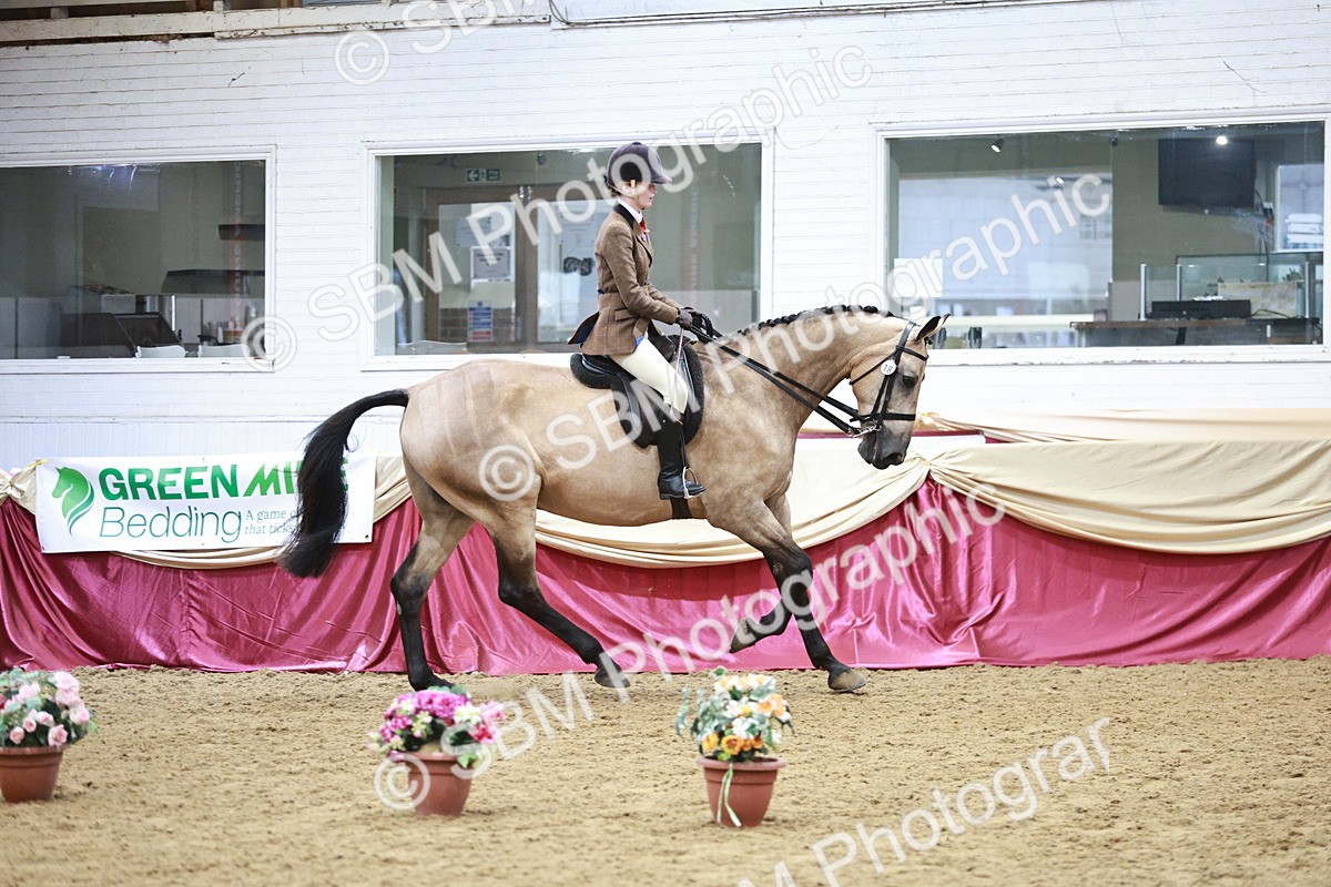 SBM_03444 - Class 6A Area Ridden Pre-Vet