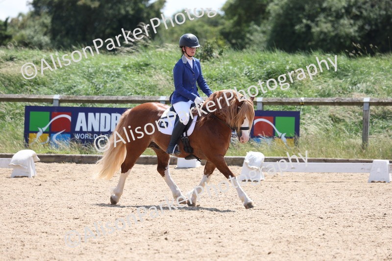 20250614-0764 - Class 4 - Novice 2