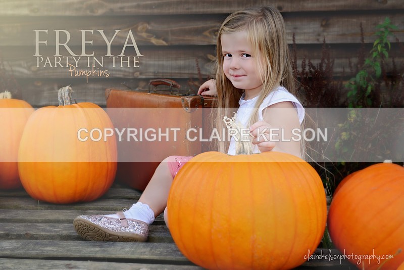 DSC_8683-3c - SEASONAL OUTDOOR SHOOTS - PUMPKINS