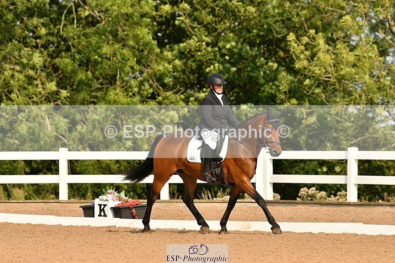 250817-092943-06939 - 049-Carolyn.GaleNewtown.Ringo