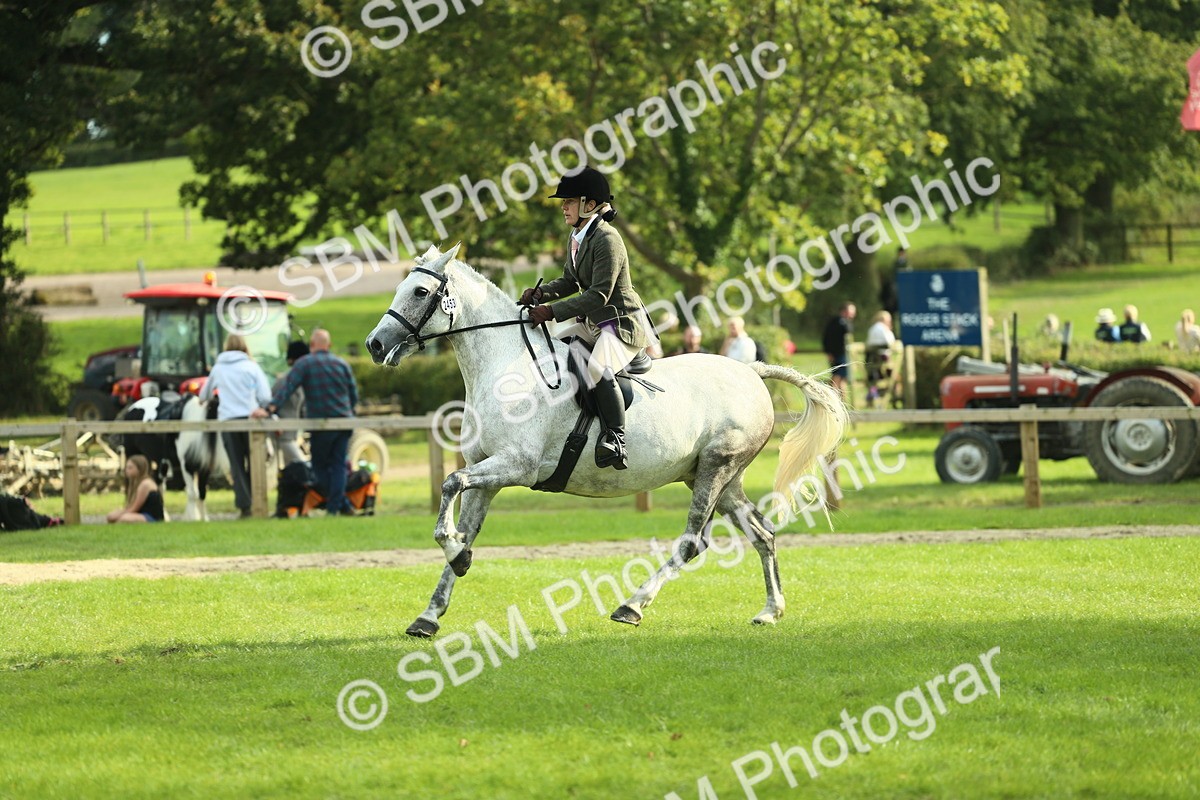 SBM_50638 - S33 - Working Hunter & Working Show Horse