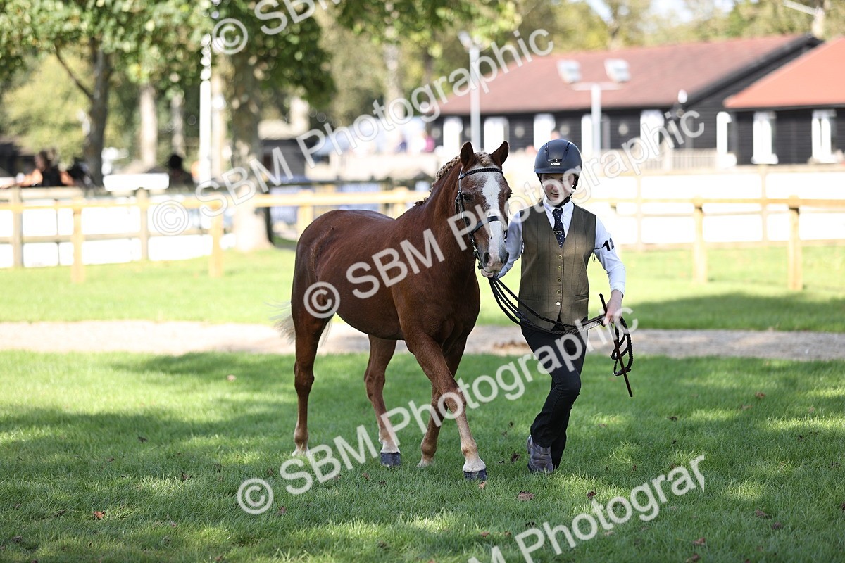 SBM_26218 - S5 - Novice & Newcomers In Hand