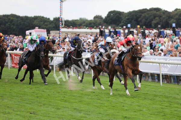 yr19082022r4-68 - Race 4 3.35pm Coolmore Wootton Bassett Nunthorpe Stakes (British Champion Series Race)