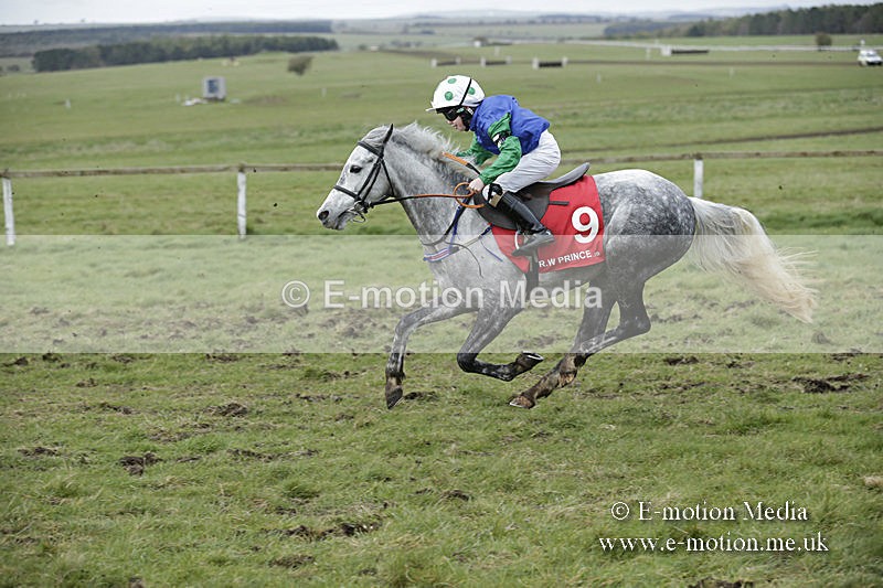 PtP 150320 0778 - New Forest Point-to-Point Larkhill 15/03/20