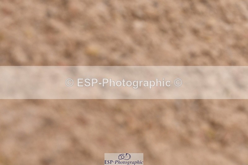 240121A-100330-00337 - Cls 2 Prelim 17A