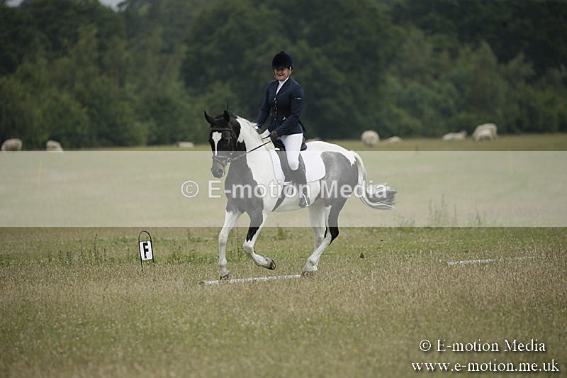 B230619-0379 - Bourne Valley Riding Club Summer Show 23/06/19