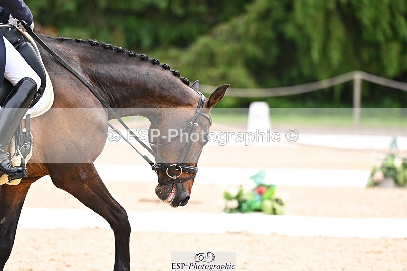 240524-095632-08030 - 509-VINCI_DE_LA_VIGNE_JRA-Kazuma_Tomoto