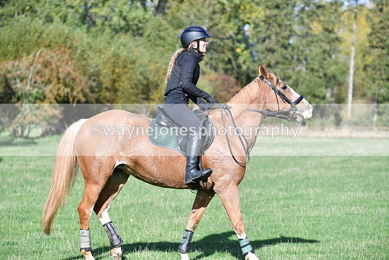 WJ5_7708 - Time 10:31 to 12:01