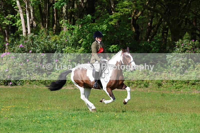 3E7A2656 - Working Hunter Championship