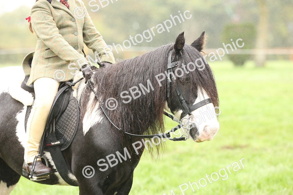 SBM_72799 - S70 - Traditional Cob Ridden
