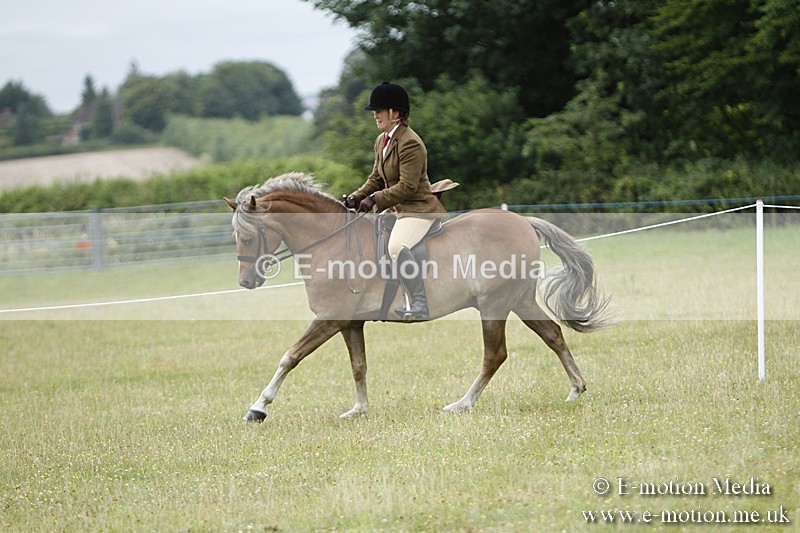 BVR160717-163 - Ring 3 BVRC Show 16/07/17