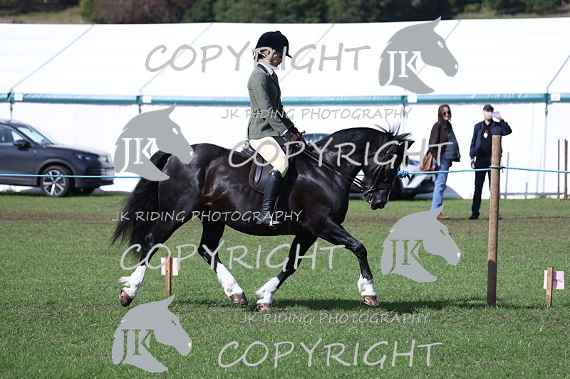 APP_3543 - Class 12 M&M ridden