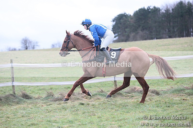 PtP 230119 199 - Royal Artillery Point-to-Point  - Larkhill  - 26/01/19