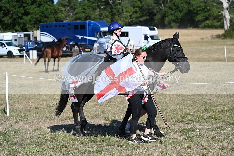 WJ7_2826 - Class 45 Fancy Dress (My Fav)