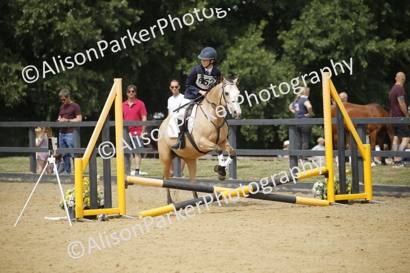 20250622-4649 - 50cm