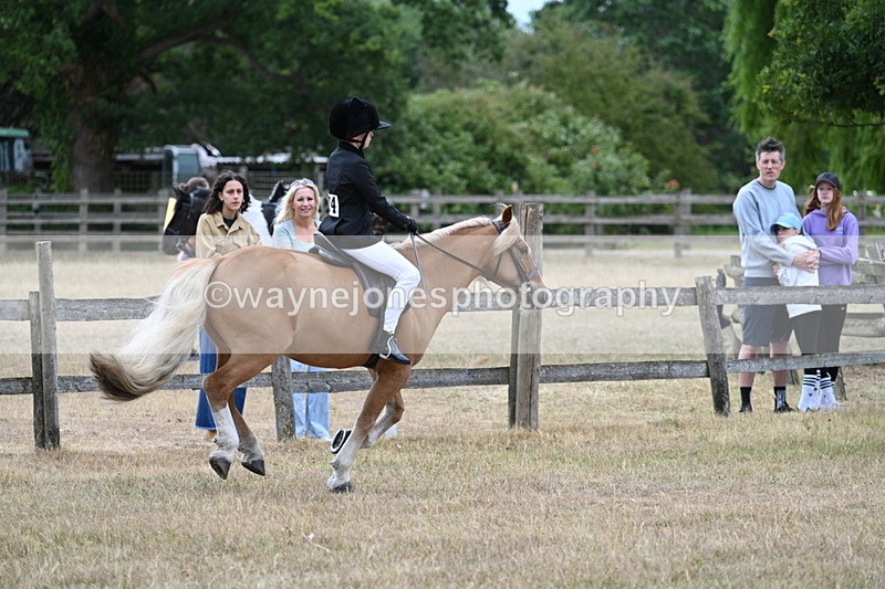 WJ7_7174 - Class 2 Best Rider