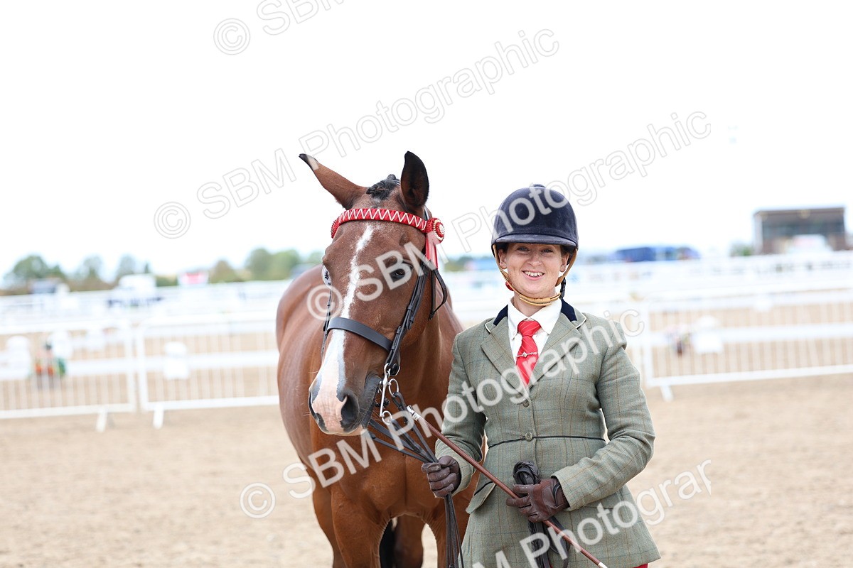 SBM_05073 - Class 27 - IH Competition Horse or Pony