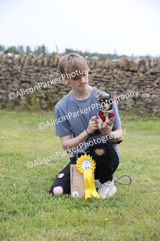 20250607-0233 - Class 4 - Little and Large