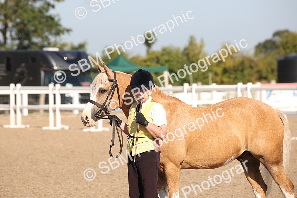 SBM_01486 - Class 15 IH Coloured