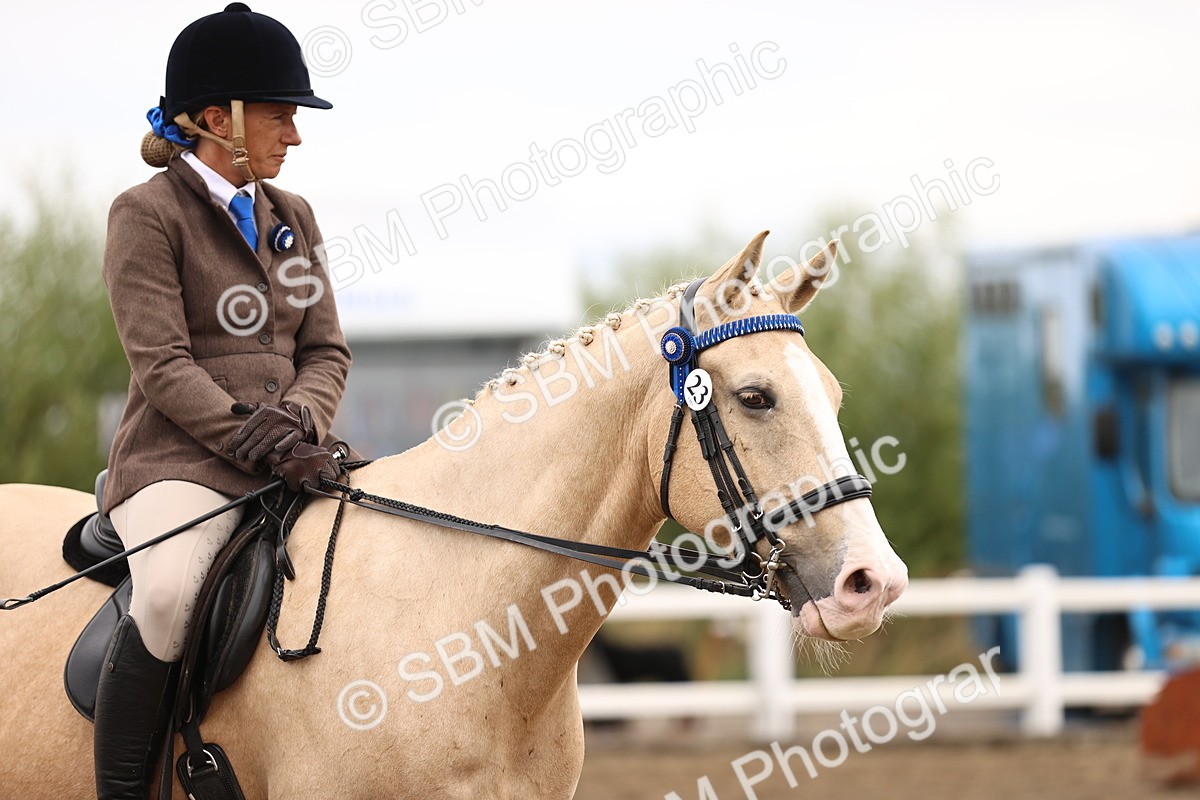 SBM_01416 - Class 54 - Riding Club Horse Pony